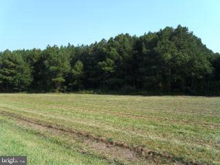 0 Cedartown Road Newark, MD 21841 - Photo 3 of 3