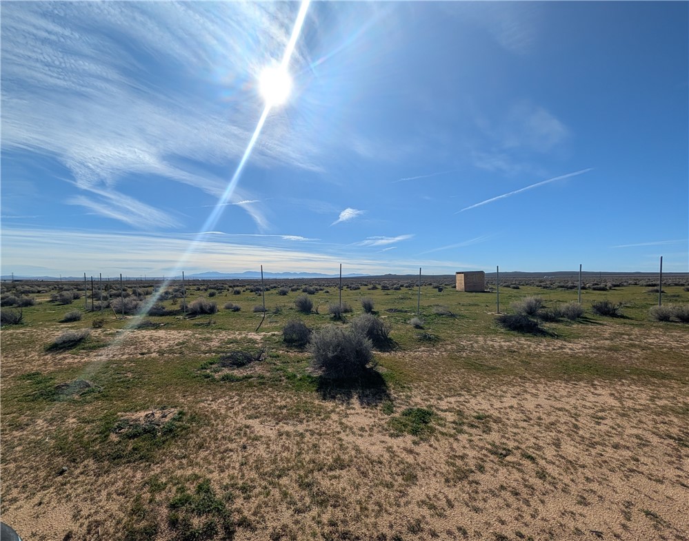 13251 135th Street Edwards, CA 93523 - Photo 5 of 6 a view of a dry yard with wooden fence