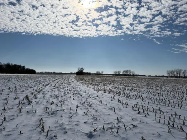 $430,000 | Tbd 190th Avenue North, Ulen, MN 56585