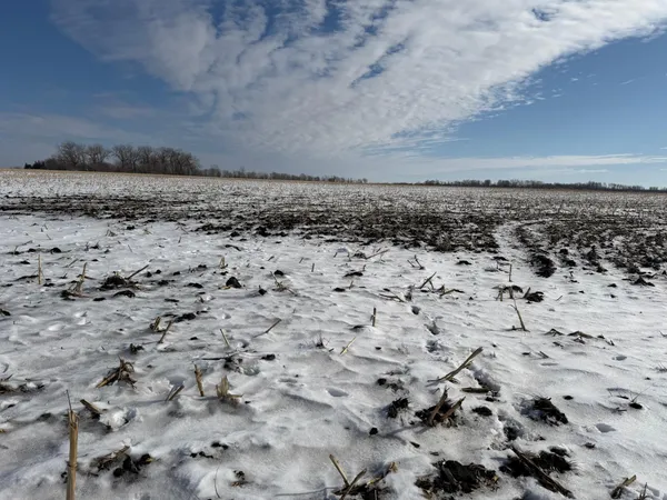 $430,000 | Tbd 190th Avenue North, Ulen, MN 56585