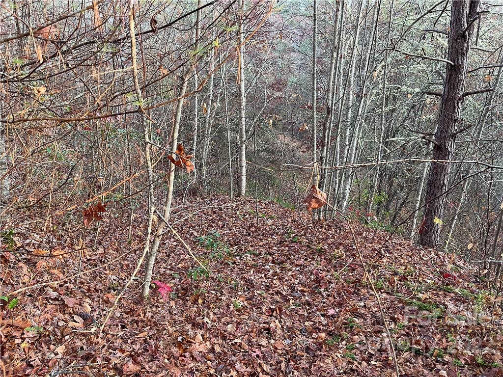 Lot 43 Kimiko Lane Balsam Grove, NC 28708 - Photo 3 of 8 a garden view with a pathway