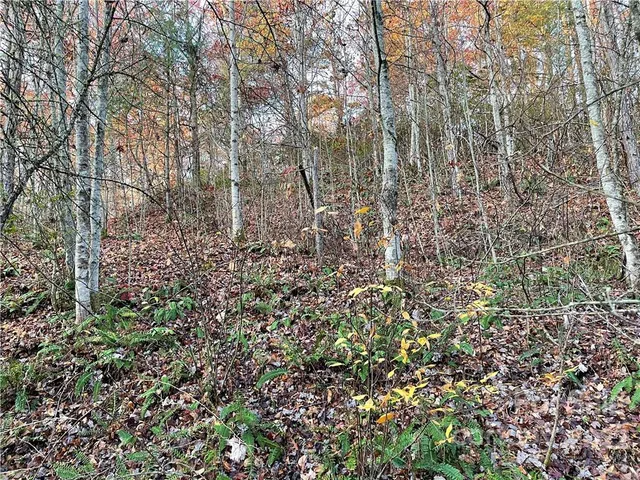 a aerial view of a house with lots of trees