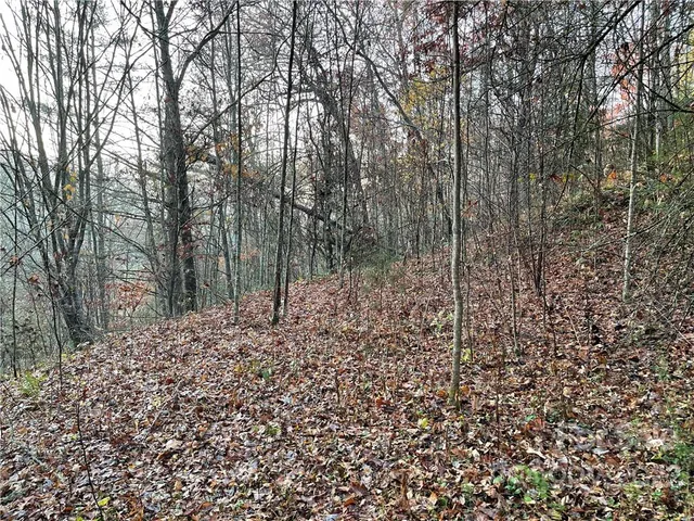 a view of a garden with trees