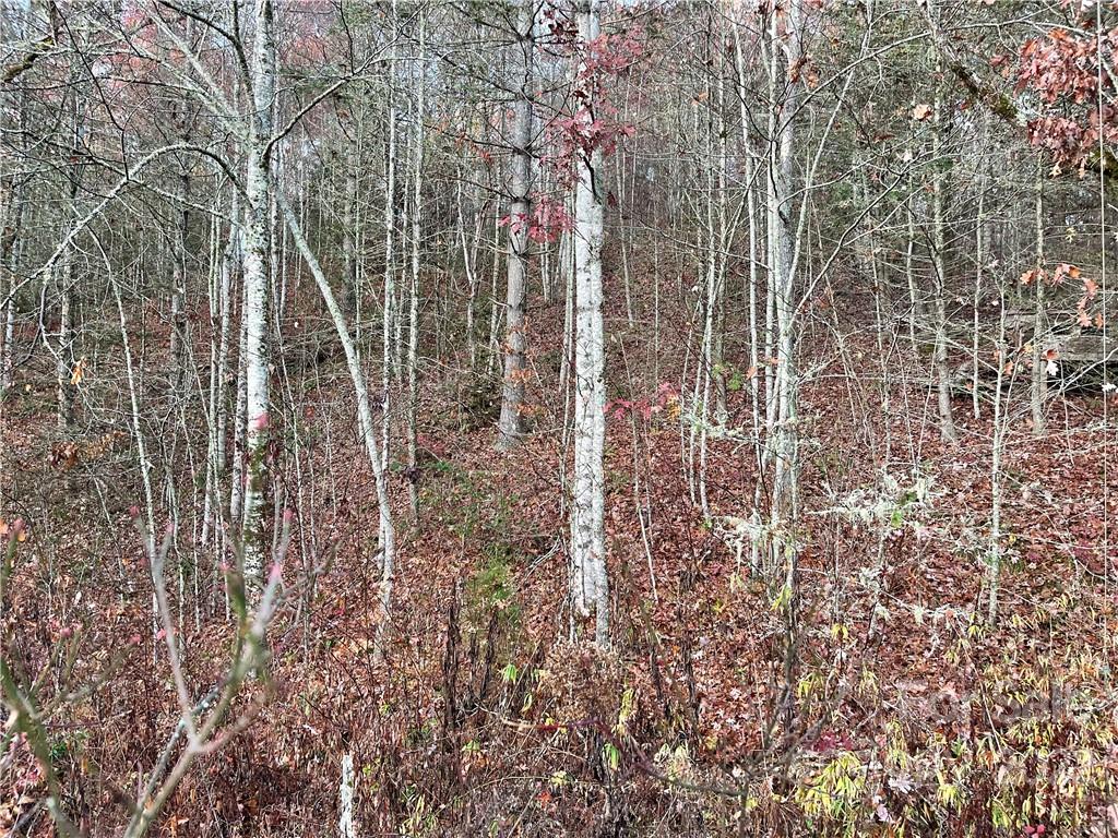 Lot 43 Kimiko Lane Balsam Grove, NC 28708 - Photo 7 of 8 a view of entryway with shower
