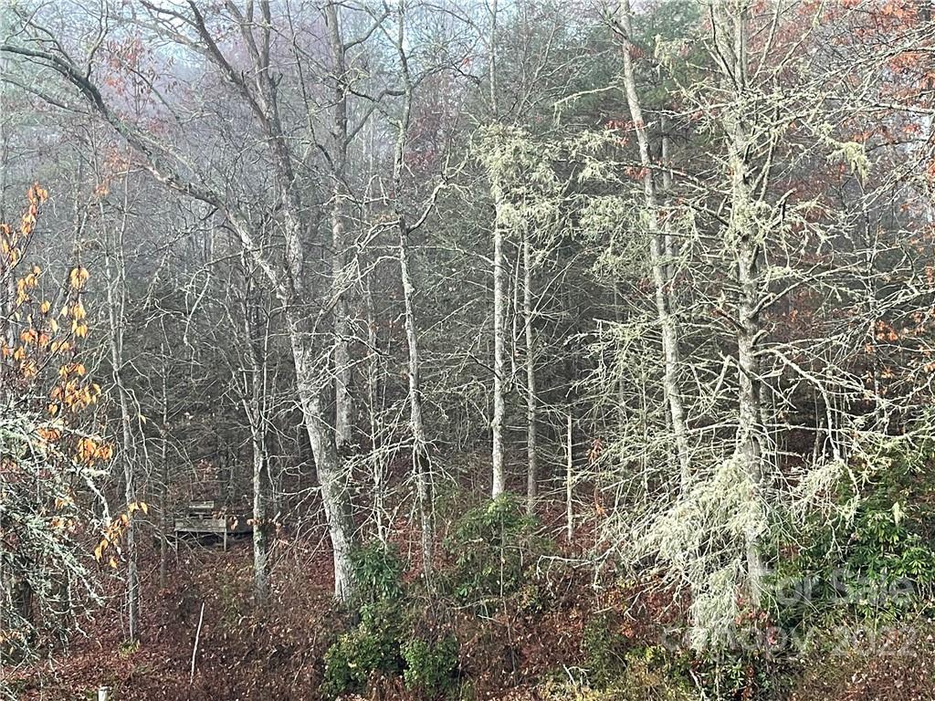 Lot 43 Kimiko Lane Balsam Grove, NC 28708 - Photo 8 of 8 a view of a pathway with a dry yard