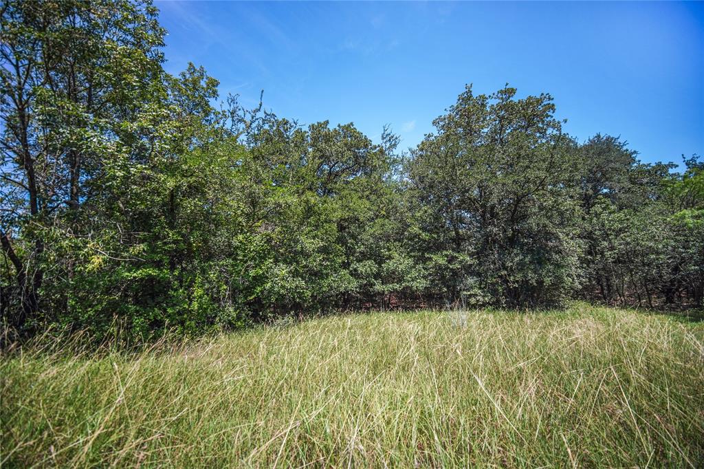 a view of backyard with green space