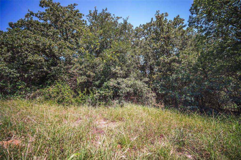 Tbd Round Hill Way Runaway Bay, TX 76426 - Photo 2 of 5 a view of a yard with a tree