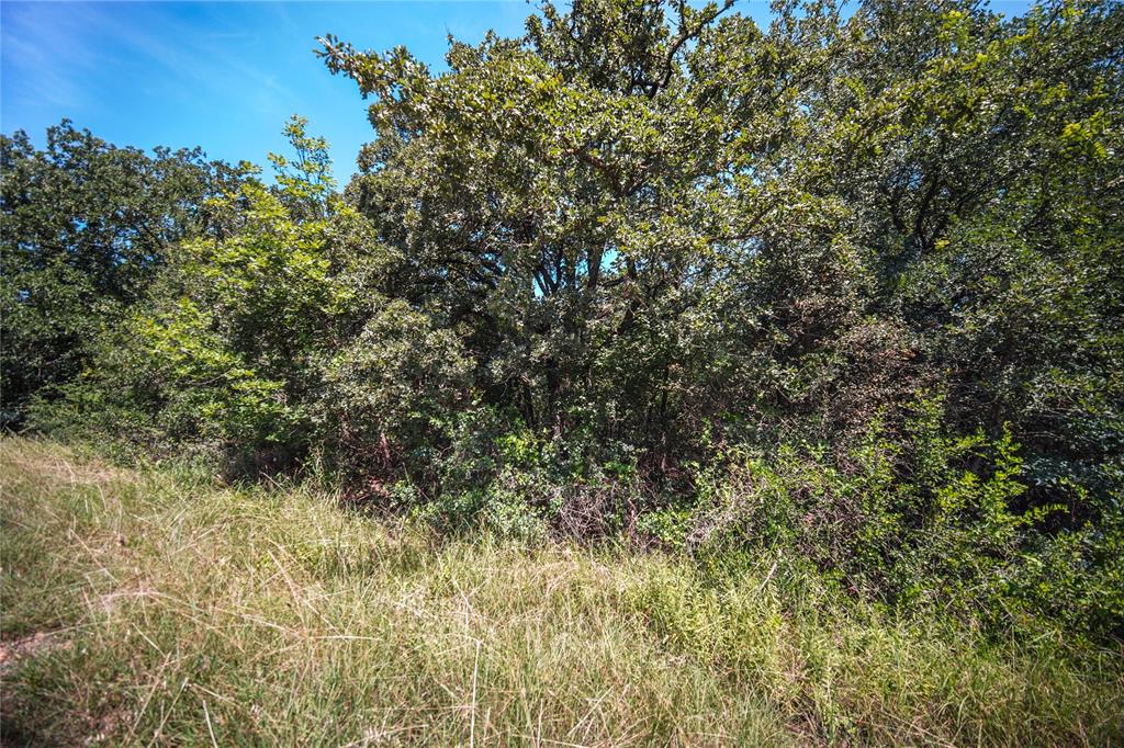 Tbd Round Hill Way Runaway Bay, TX 76426 - Photo 4 of 5 a view of a yard with a tree