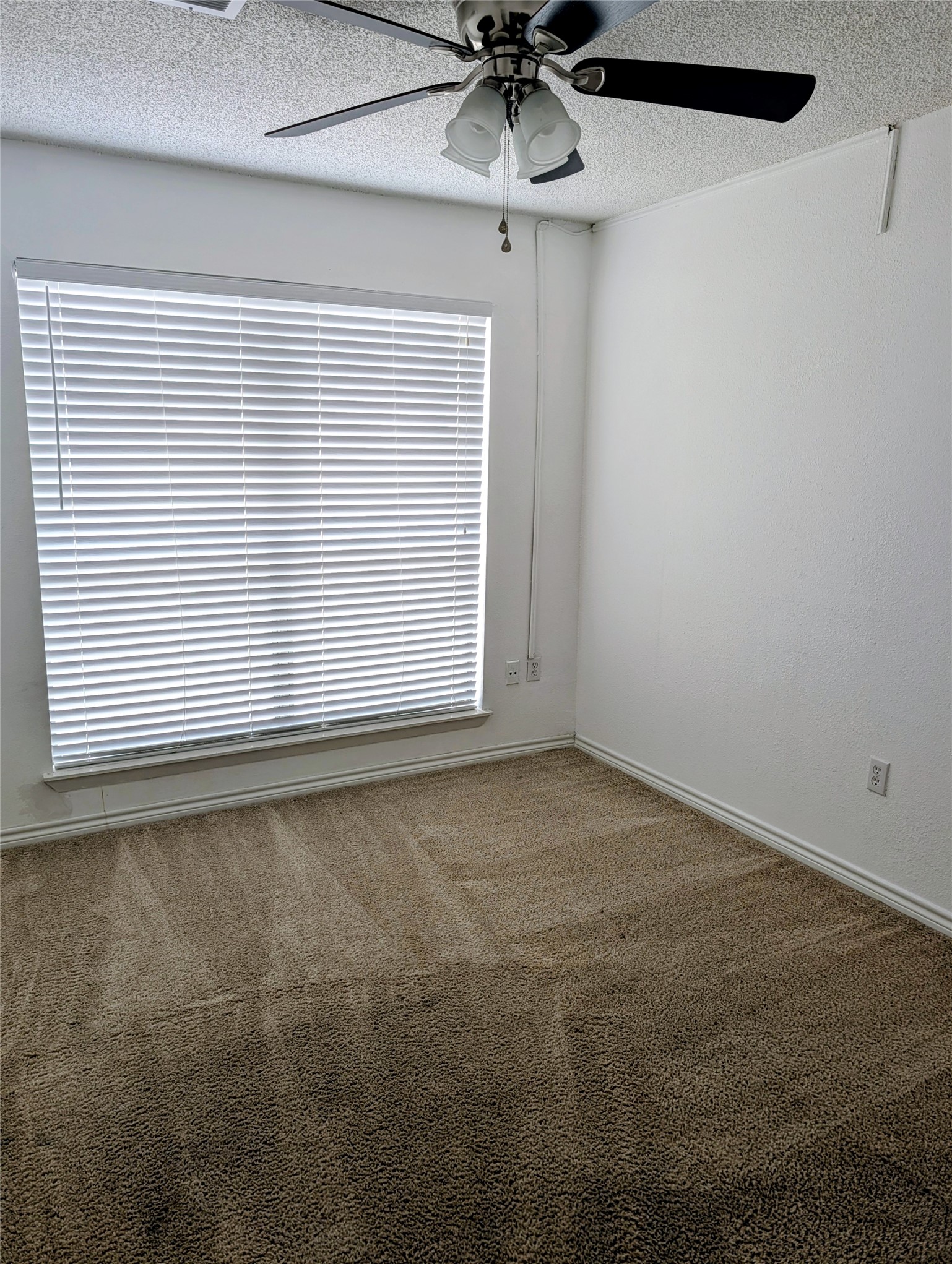 58 Evanston Street, Unit 1 Houston, TX 77015 - Photo 19 of 25