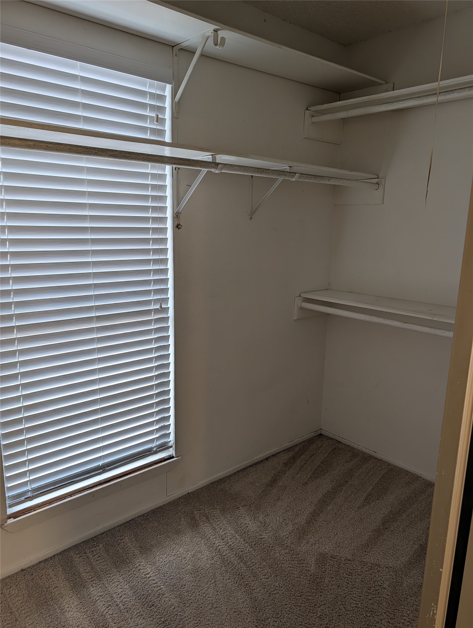 58 Evanston Street, Unit 1 Houston, TX 77015 - Photo 25 of 25