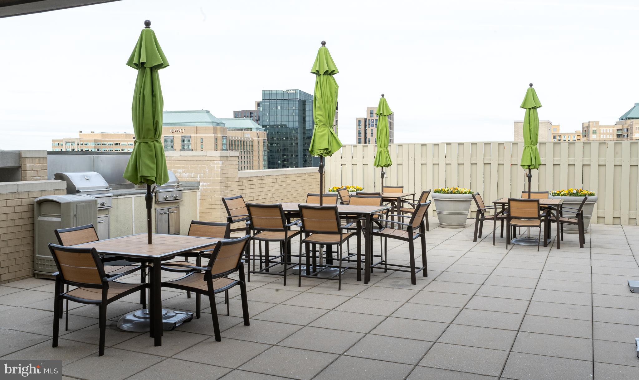 11800 Sunset Hills Road, Unit 1111 Reston, VA 20190 - Photo 48 of 66 Rooftop fun