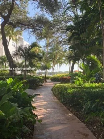 a park with large trees