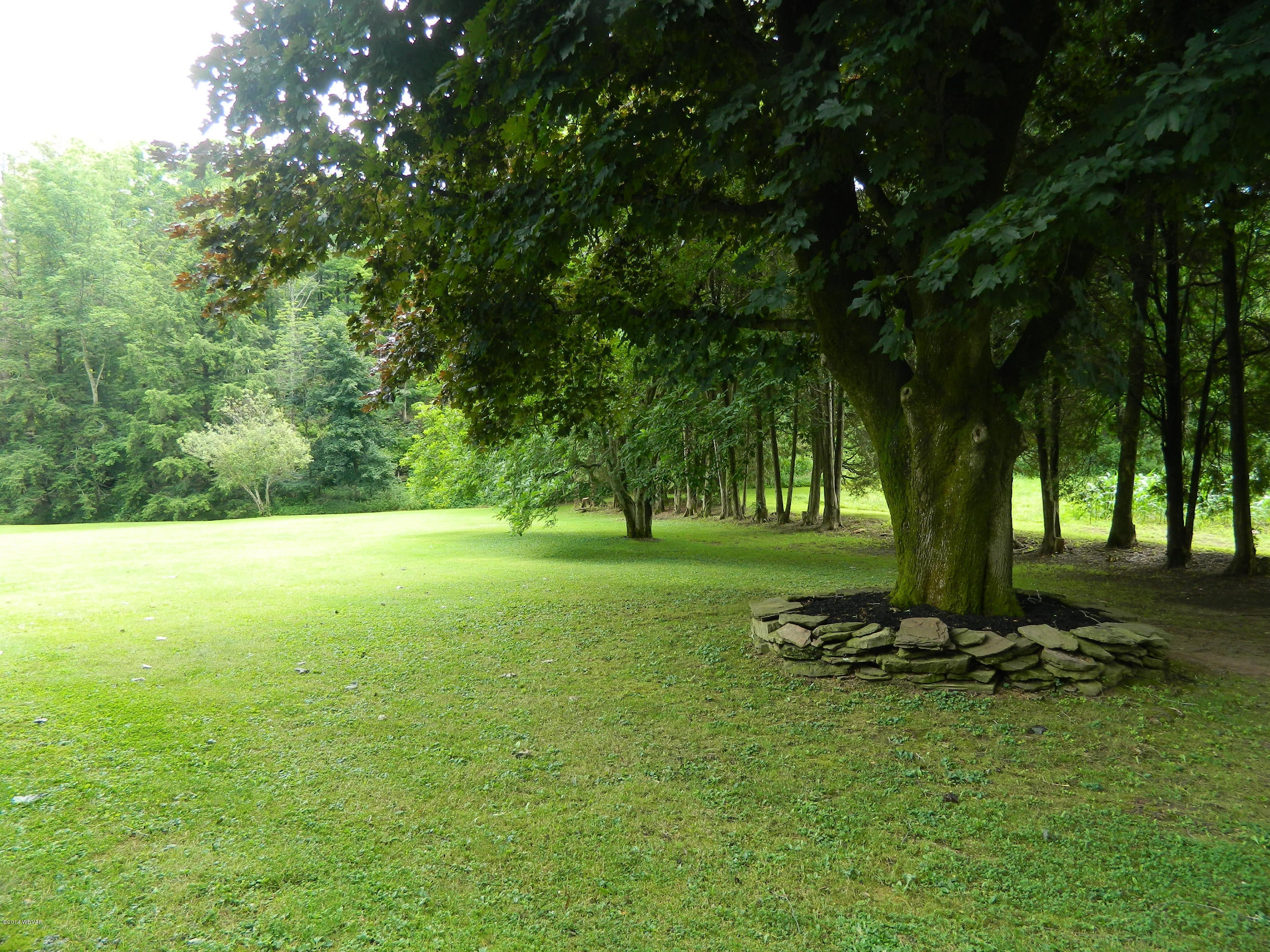 45 Pine Run Road Hughesville, PA 17737 - Photo 5 of 36 Rght Side Yard