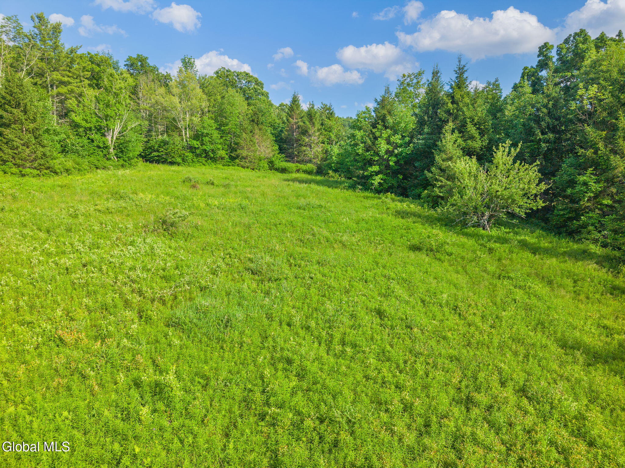 L6 Guinea Road Middleburgh, NY 12122 - Photo 6 of 10 66-1008GuineaRd_66