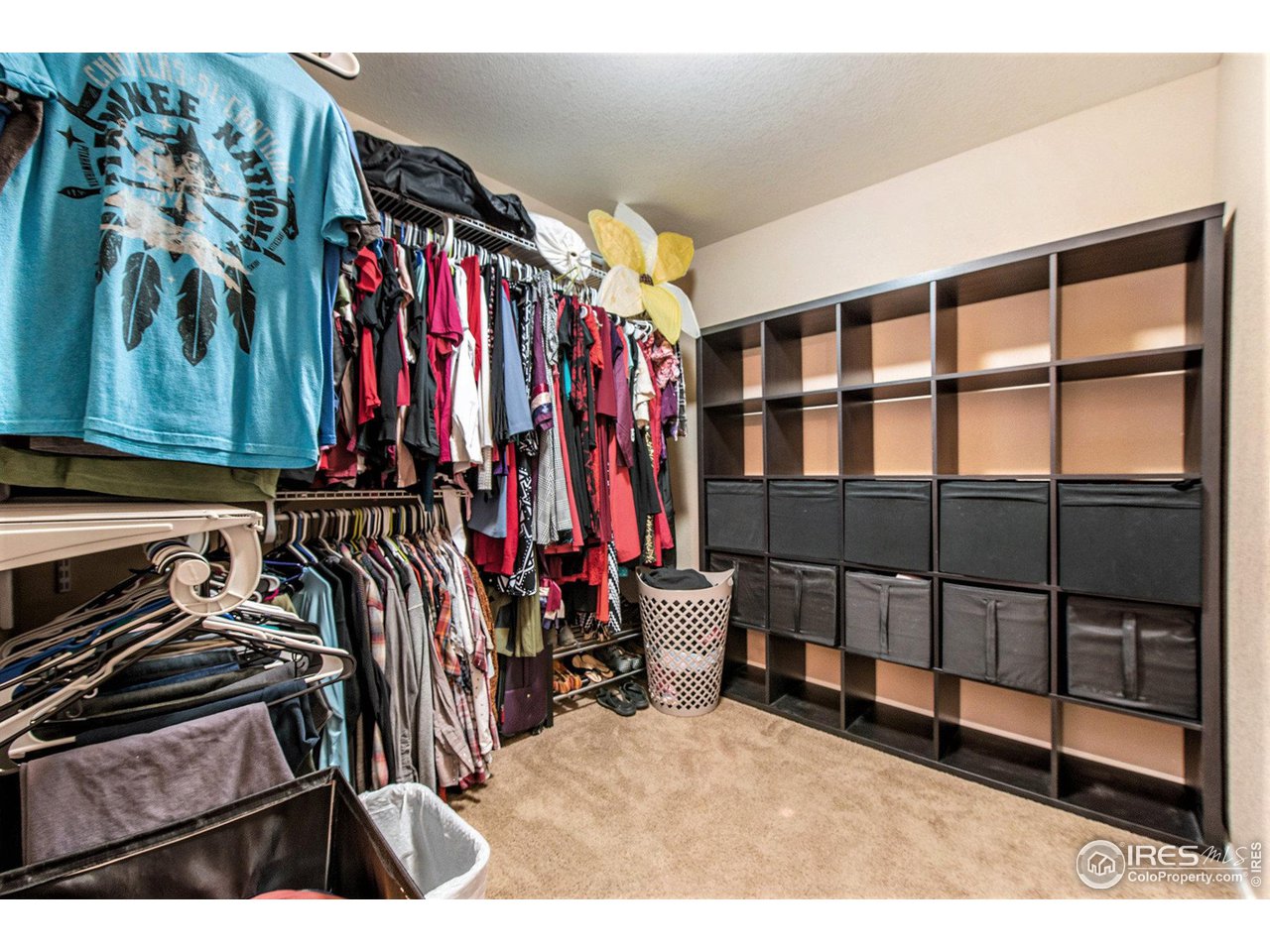 4872 Monarch Drive Firestone, CO 80504 - Photo 21 of 34 Master Walk-In Closet