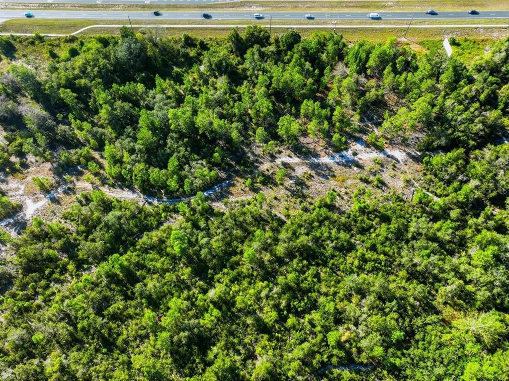 7124 Commercial Way Weeki Wachee, FL 34613 - Photo 24 of 30 a view of a yard with plants