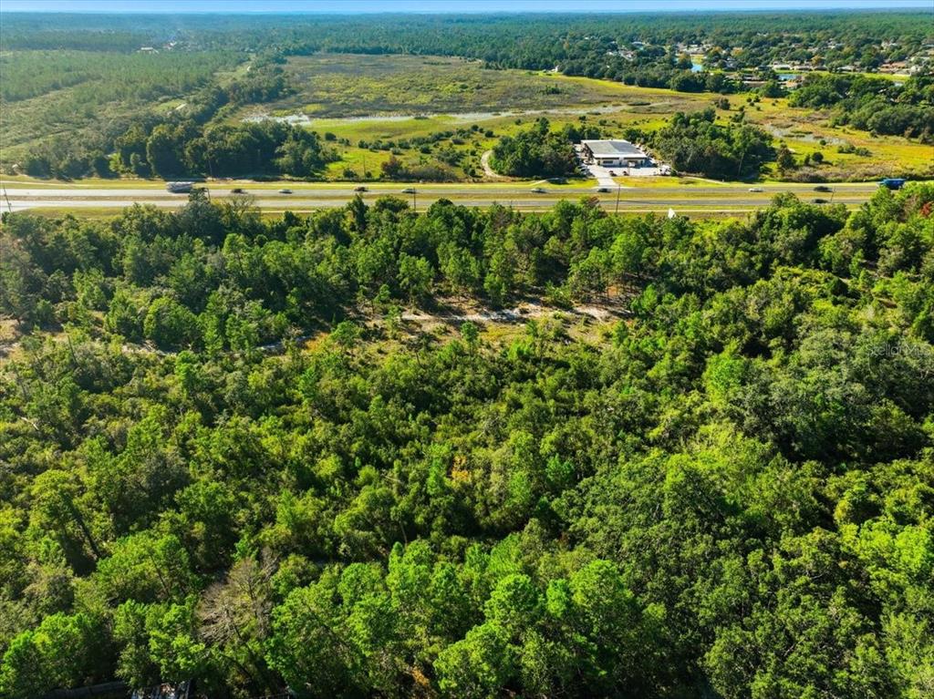 7124 Commercial Way Weeki Wachee, FL 34613 - Photo 26 of 30 an aerial view of residential houses with outdoor space and trees
