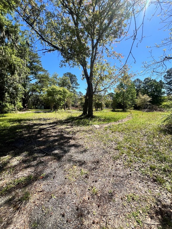 540732 Lem Turner Road Callahan, FL 32011 - Photo 3 of 3 a view of a field with an trees