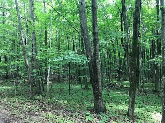 Lot 11 Daisy Patch Road Fish Creek, WI 54212 - Photo 4 of 5