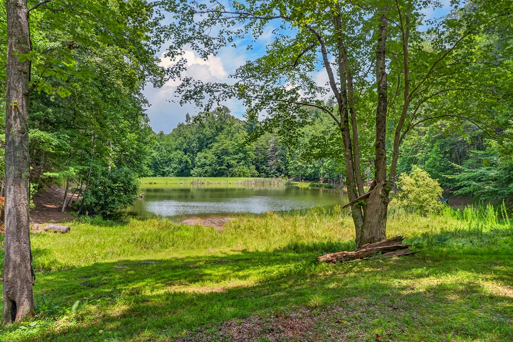 986 Mountain Oak Road Ellijay, GA 30536 - Photo 47 of 59 Gallery Image 47