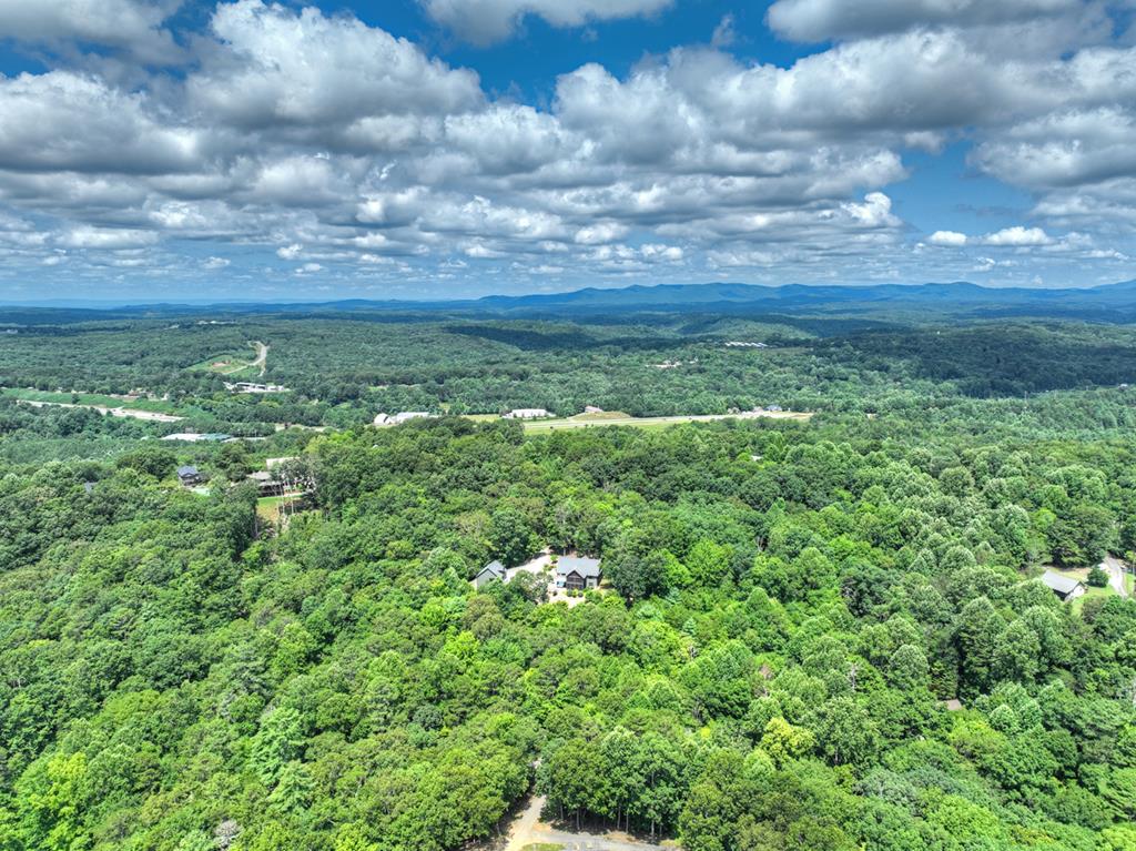 683 Talona Mountain Road Ellijay, GA 30536 - Photo 66 of 68 Gallery Image 66