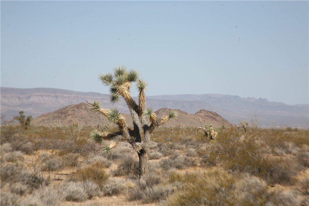 245-18-266 Alan Road Yucca, AZ 86438 - Photo 14 of 54