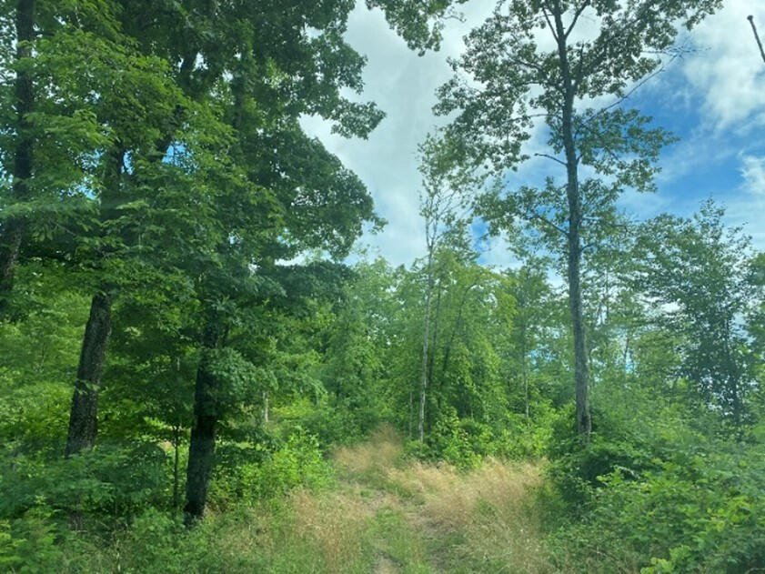 7950 Public Road Somerset, KY 42503 - Photo 18 of 29 19