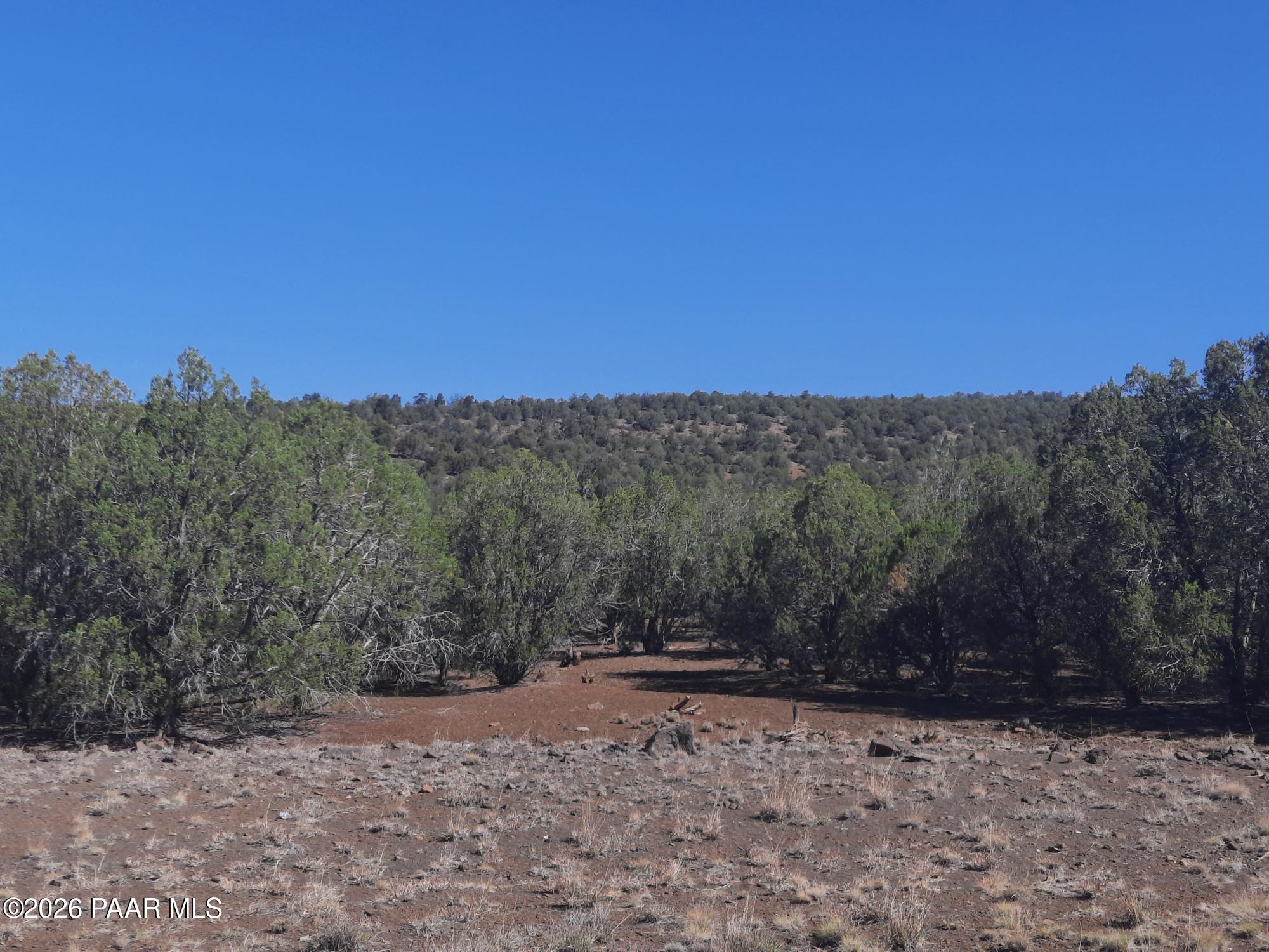 Lot 860 Fort Rock Road Kingman, AZ 86401 - Photo 3 of 20 a view of a yard with a tree