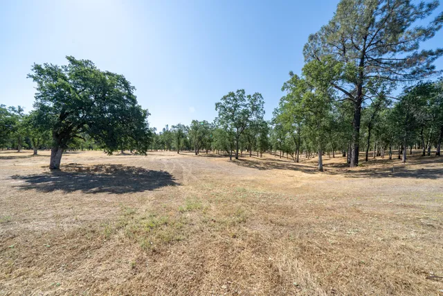 a view of road with trees