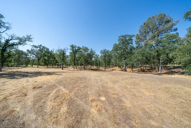 a view of outdoor space with trees