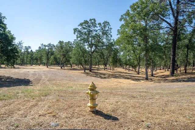 a view of road with trees
