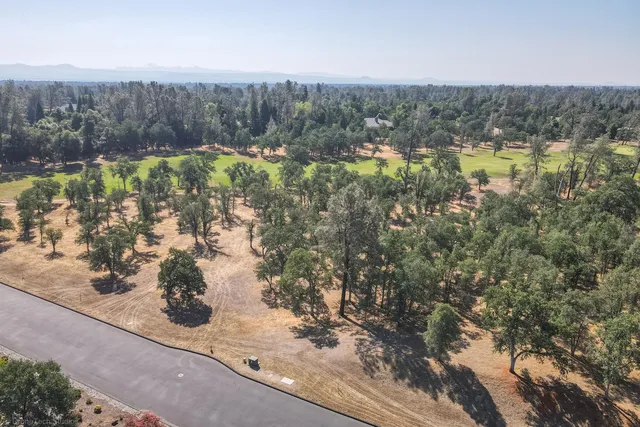 a view of a forest with a lake