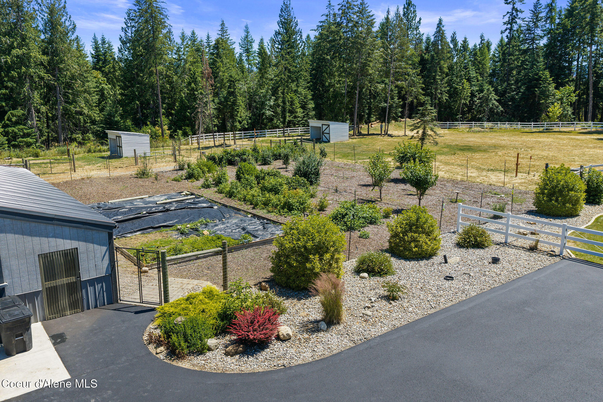 15746 North Pinewood Way Hayden, ID 83835 - Photo 74 of 97 Orchard & Garden