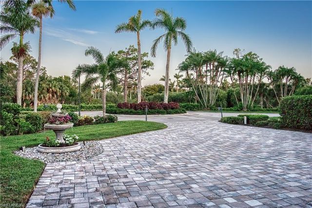 a view of a garden with palm trees
