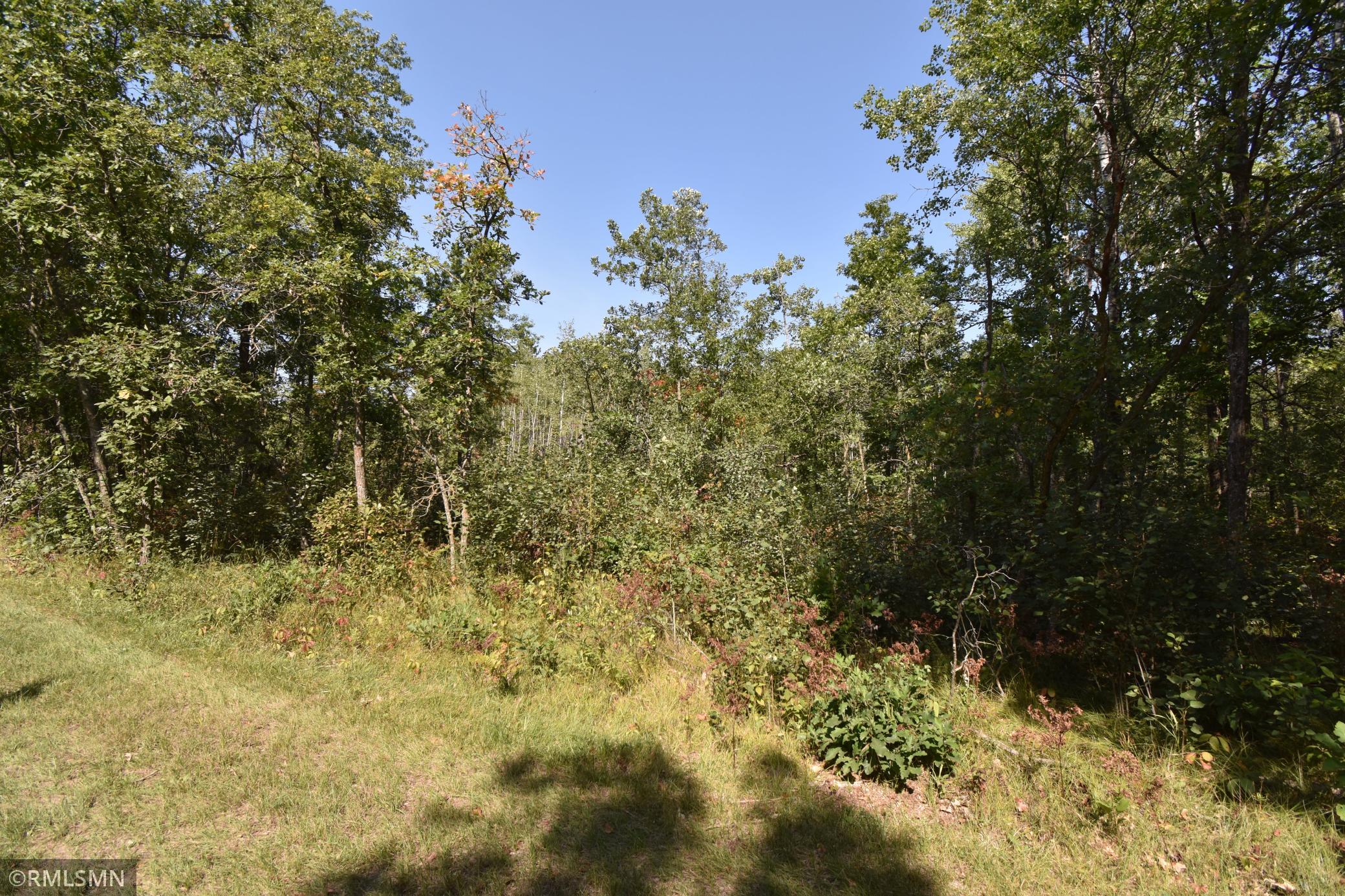Tbd Tbd Nagel Road Pequot Lakes, MN 56472 - Photo 4 of 9 Gallery Image 4
