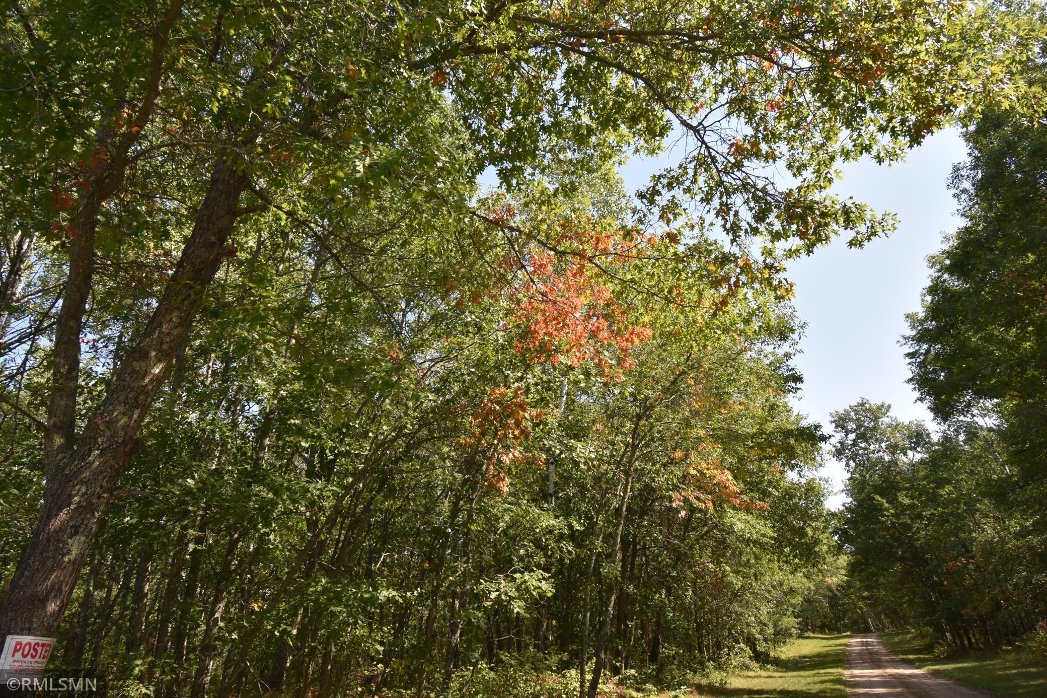Tbd Tbd Nagel Road Pequot Lakes, MN 56472 - Photo 5 of 9 Gallery Image 5
