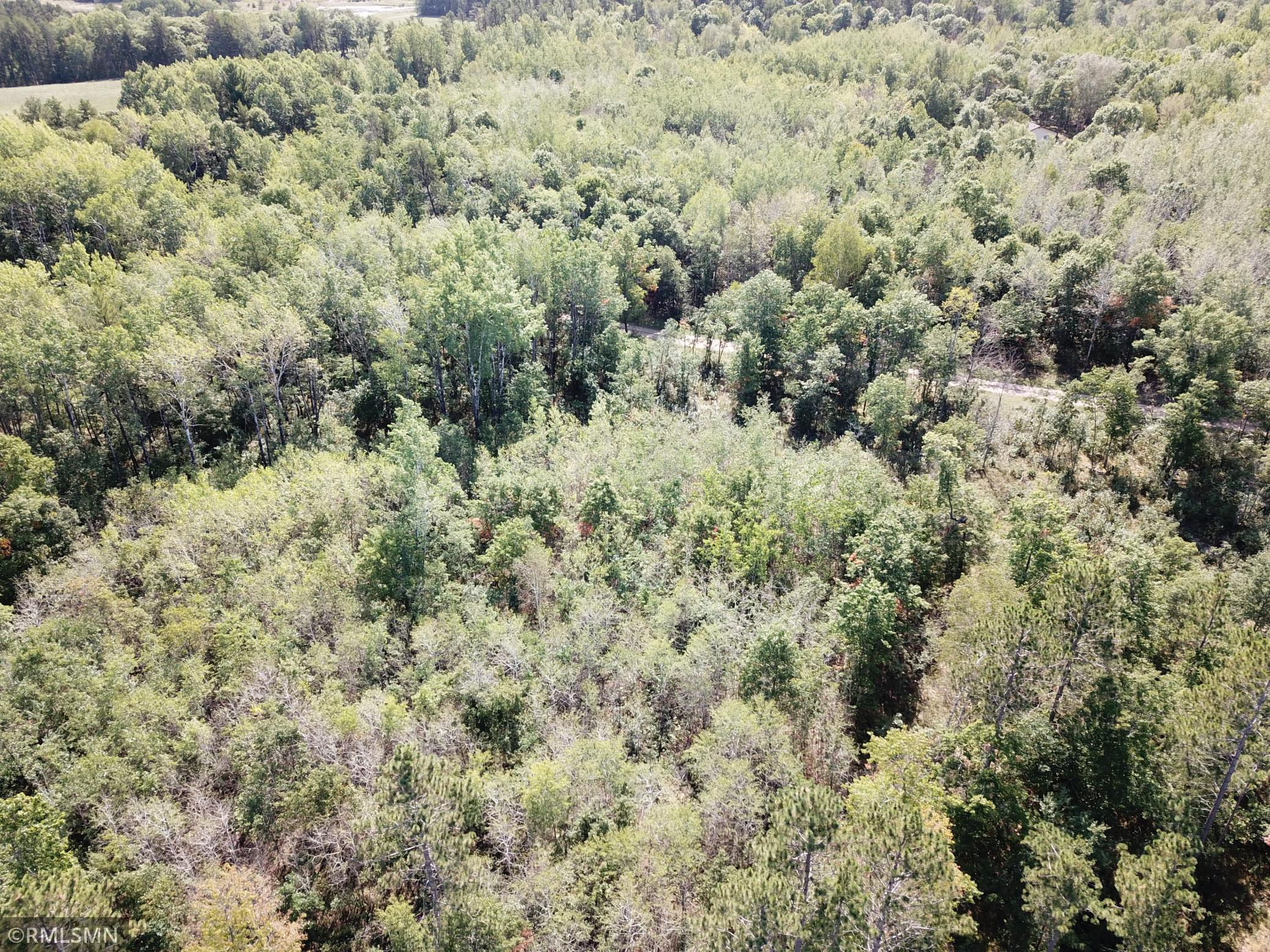 Tbd Tbd Nagel Road Pequot Lakes, MN 56472 - Photo 7 of 9 Gallery Image 7