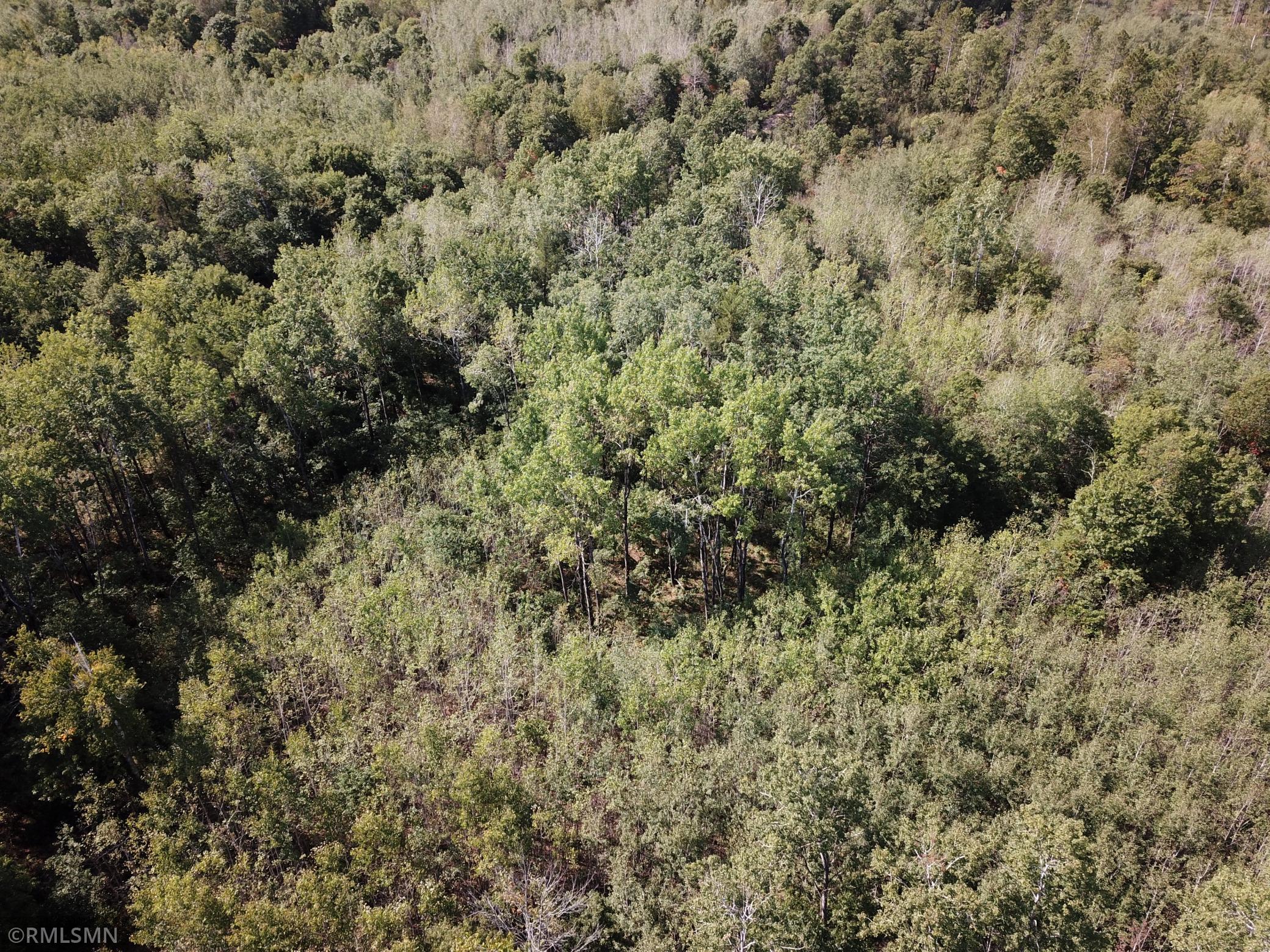 Tbd Tbd Nagel Road Pequot Lakes, MN 56472 - Photo 8 of 9 Gallery Image 8