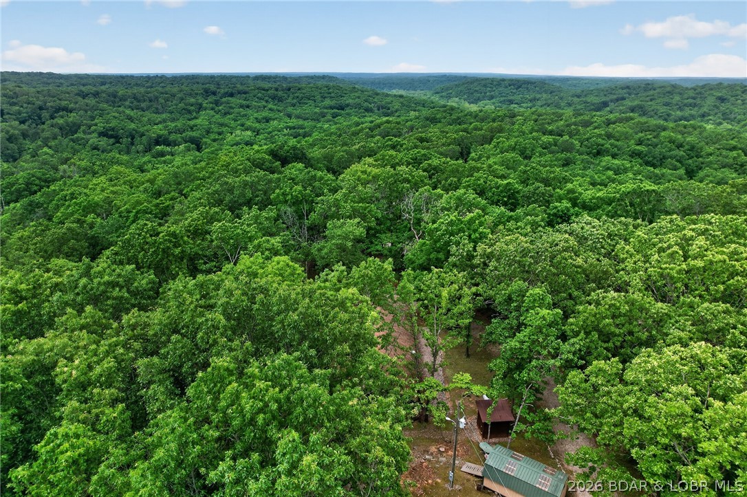 16376 Twisted Tree Road Barnett, MO 65011 - Photo 63 of 65