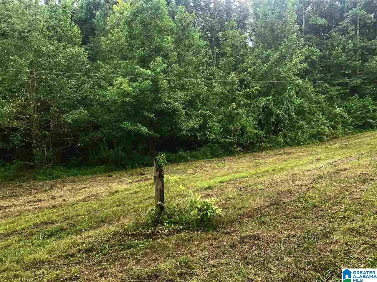 20855 Highway 11 Steele, AL 35987 - Photo 8 of 10