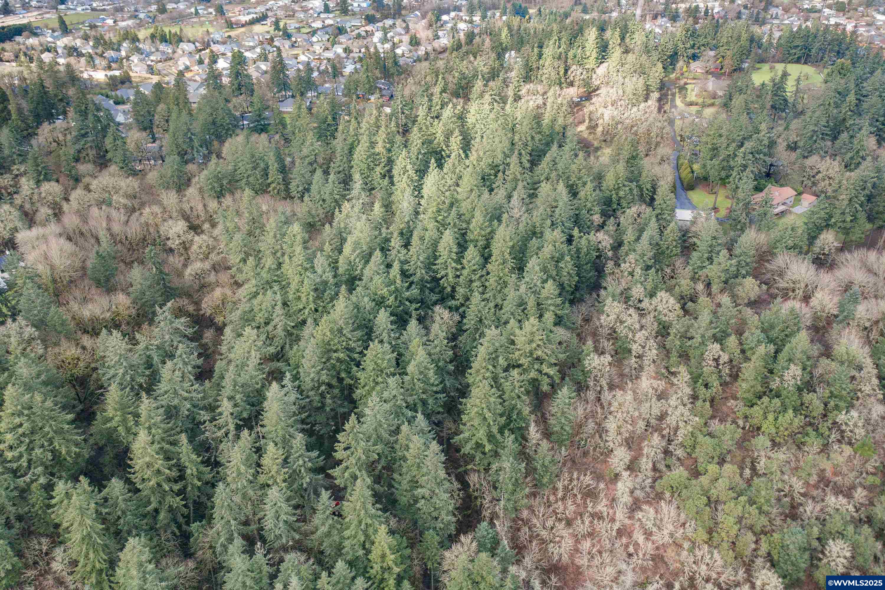 0 Northwest Maier Lane Albany, OR 97321 - Photo 10 of 25