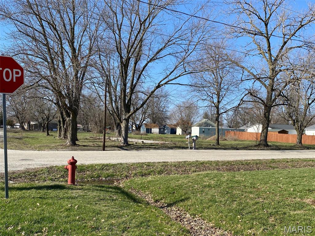 504 North Stuart Street Witt, IL 62094 - Photo 3 of 3