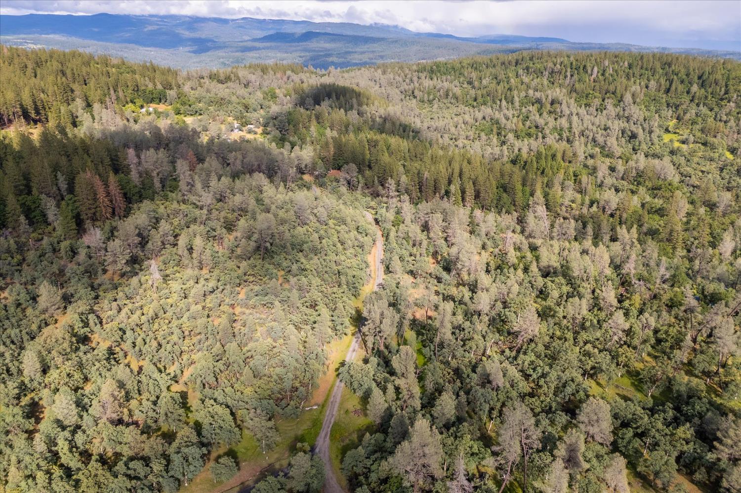0 Donkey Mine Road Oak Run, CA 96069 - Photo 8 of 19 Gallery Image 8