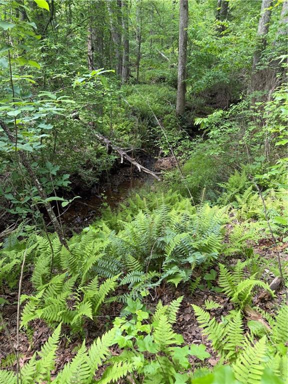 1 Melear Road Bowdon, GA 30108 - Photo 38 of 51
