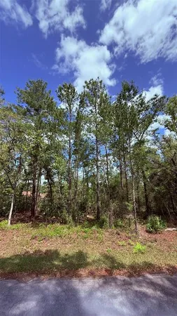 $24,999 | 15 Bay Court, Ocklawaha, FL 32179