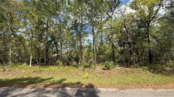 $24,999 | 15 Bay Court, Ocklawaha, FL 32179