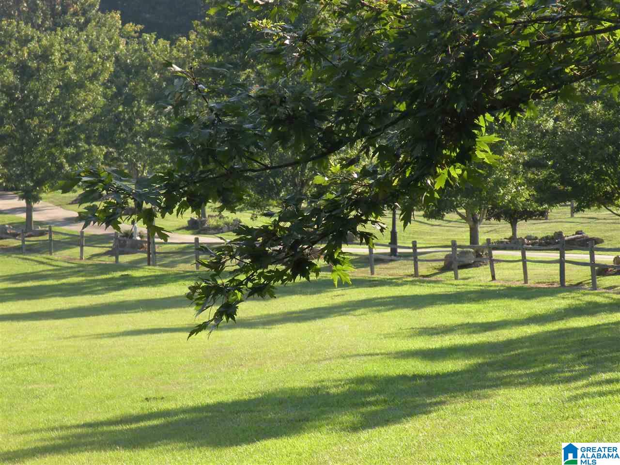 2801 Grist Mill Road Alpine, AL 35014 - Photo 39 of 47