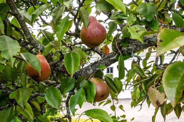 $1,520,000 | 366 Old Concord Turnpike, Barrington, NH 03825