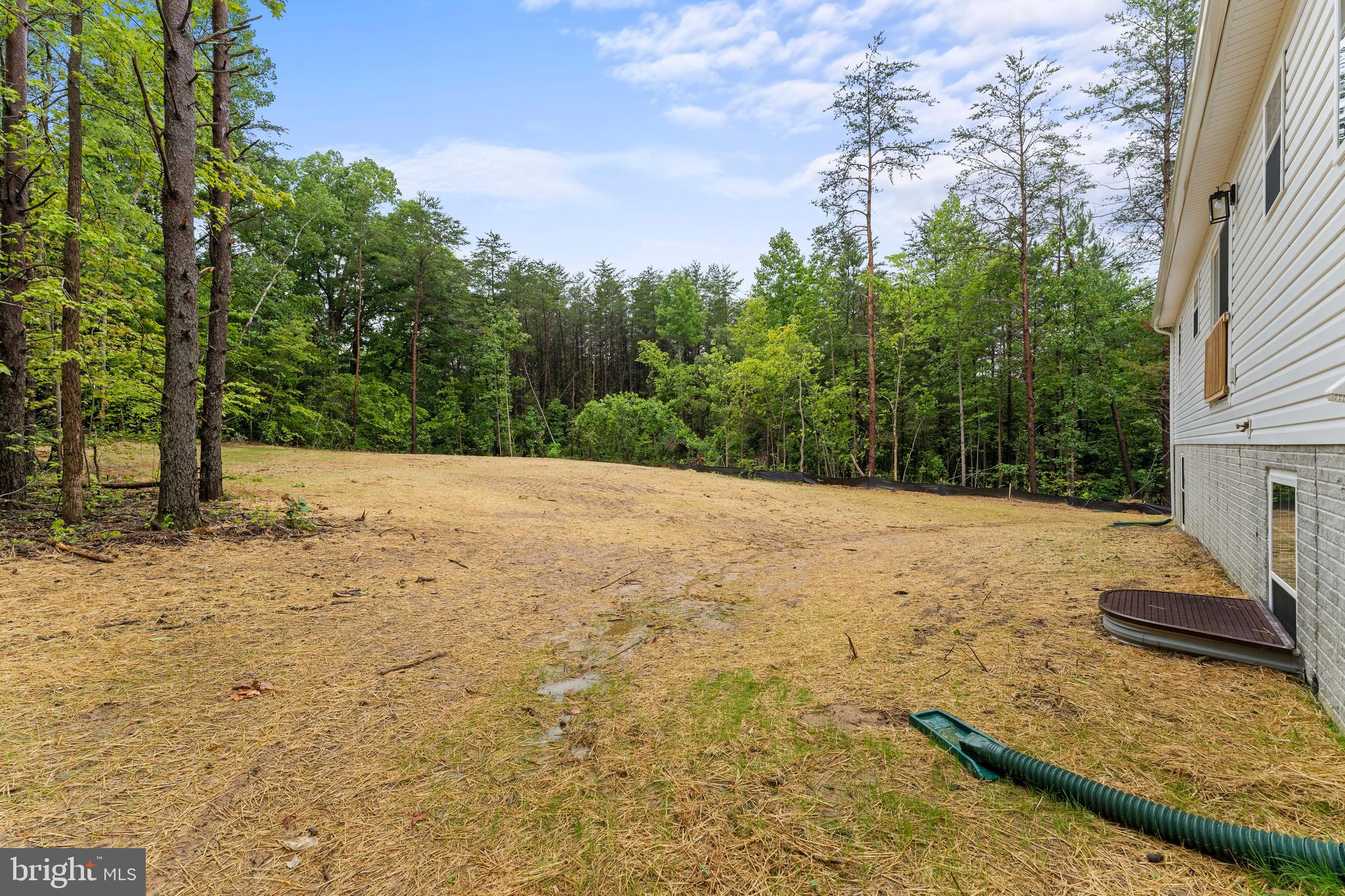 9730 Tribble Road Beaverdam, VA 23015 - Photo 47 of 60