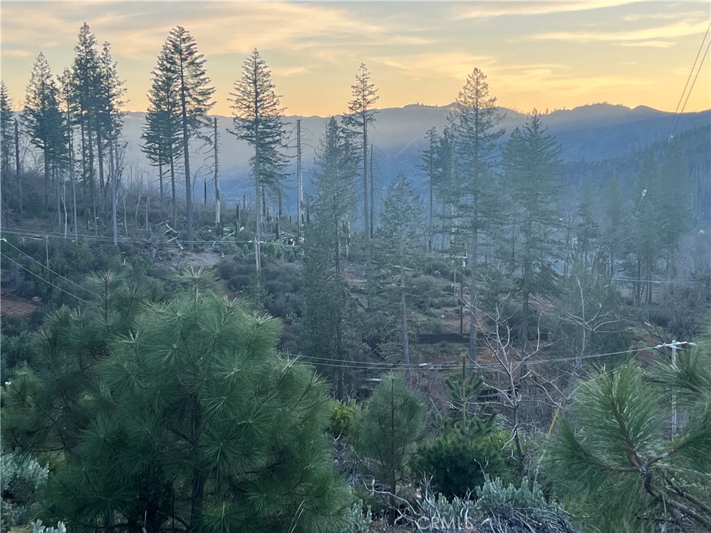 16709 Starview Loop Cobb, CA 95426 - Photo 8 of 9